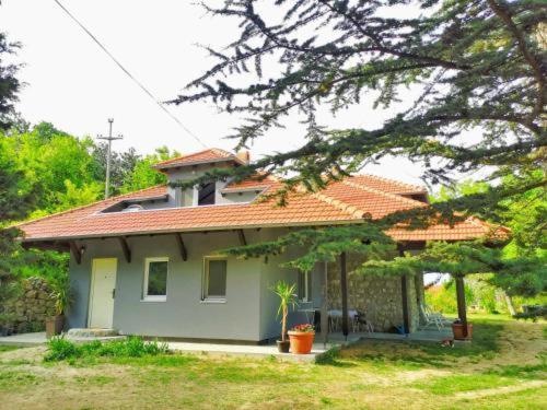 Kuca Za Odmor-Zelena Oaza Hotel Golubac Eksteriør billede
