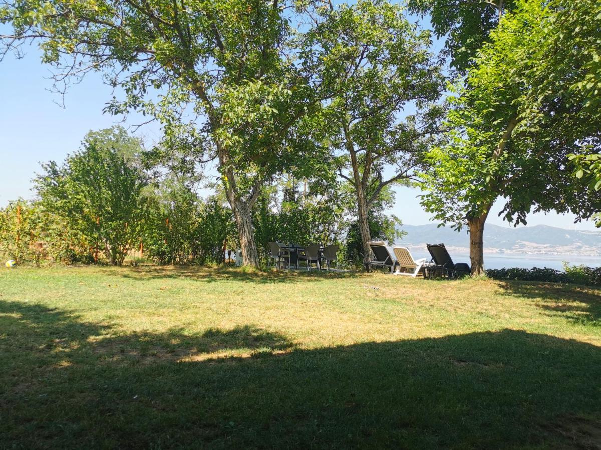 Kuca Za Odmor-Zelena Oaza Hotel Golubac Eksteriør billede