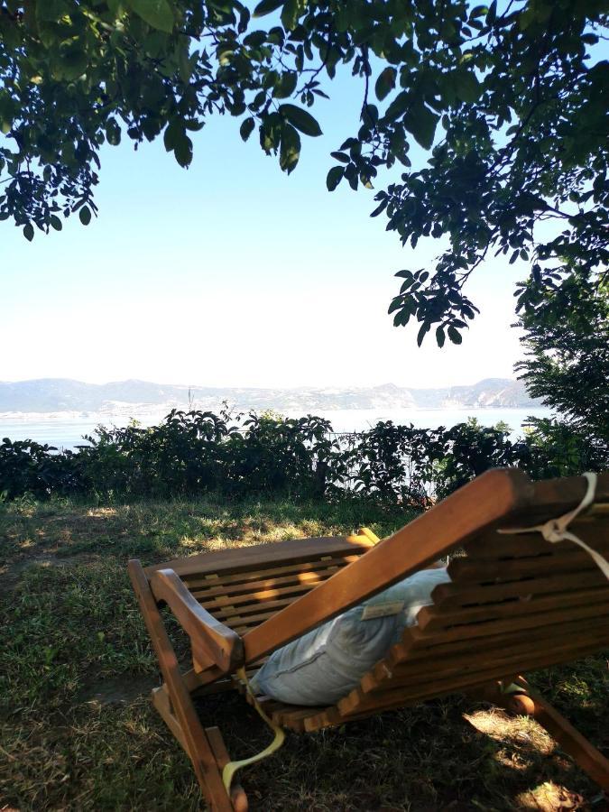Kuca Za Odmor-Zelena Oaza Hotel Golubac Eksteriør billede